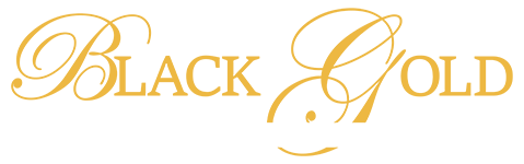 black-gold-motel-website-logo